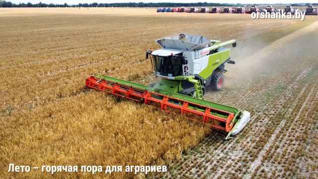 Каким было это лето в Орше смотреть онлайн