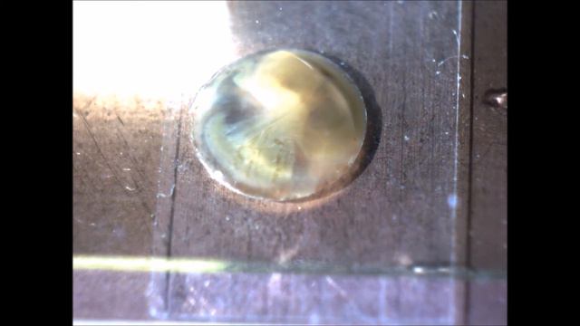 Novel method for rapid in-situ hybridization of HER2 using non-contact alternating-current electric смотреть онлайн