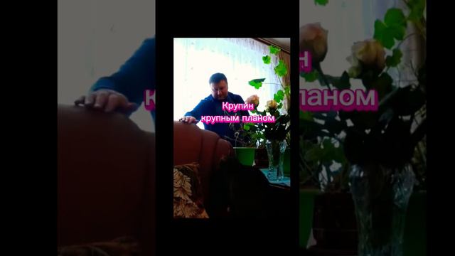 Лена и Ваня life. Крупин крупным планом смотреть онлайн