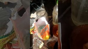 Осаждение золота железным купоросом