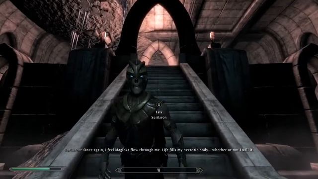 Beyond Skyrim - Bruma #13: Rielle