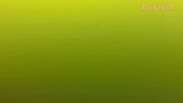 Испытание видеокамеры под водой смотреть онлайн