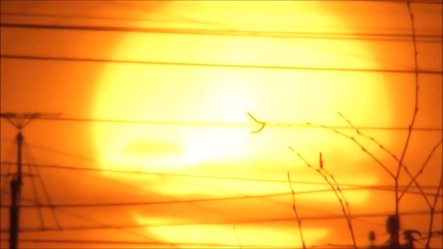 Большие: Солнце, Луна, Земля. Дню Космонавтики посвящается. 05.04.2023 г. Москва смотреть онлайн