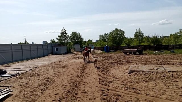 Прогулка верхом ?? смотреть онлайн