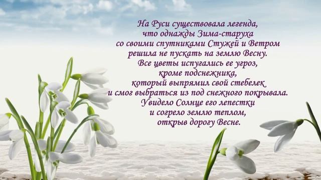 Легенды о подснежниках смотреть онлайн