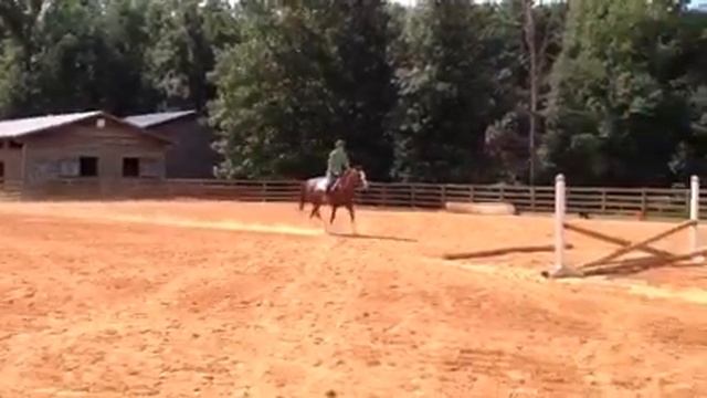 Rowan Oaks Nikko Blue смотреть онлайн