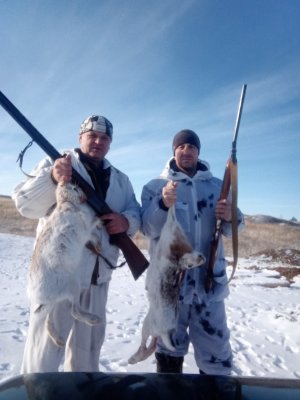 Охота на зайца 2