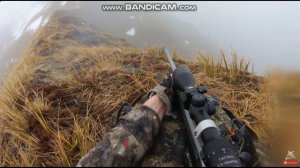 Одиночная Охота в Горах