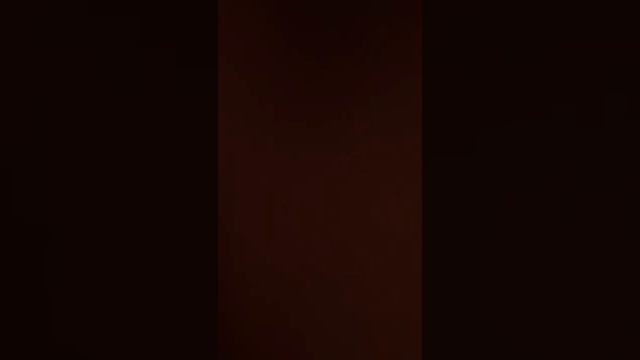 О кофе. Латте и медведи смотреть онлайн