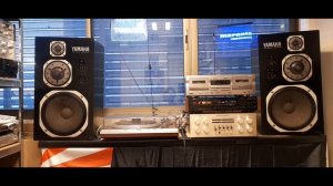 Yamaha NS 1000 M