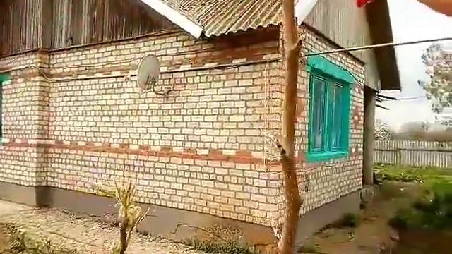 ОБРЕЗАЮ ТРЕХЛЕТКИ ЯБЛОНИ ГРУШИ , ЗАКРАШИВАЮ СРЕЗЫ.