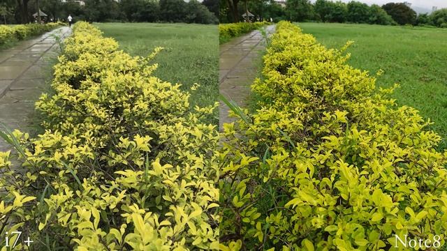 Samsung Galaxy Note 8 Vs iPhone 7 Plus Camera Test смотреть онлайн