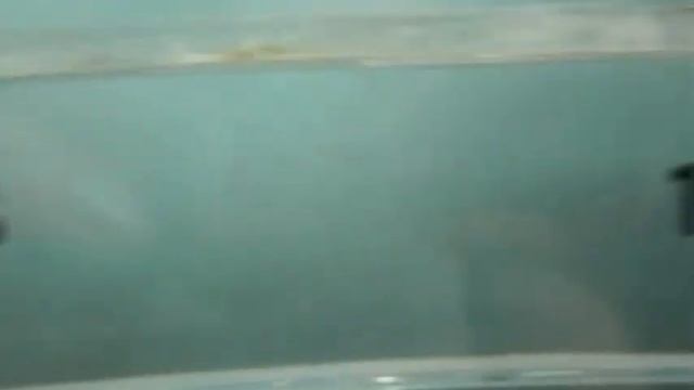 The Secret of the Mermaid's Purse смотреть онлайн