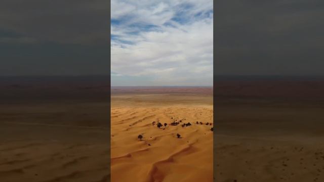 Oasis واحه смотреть онлайн