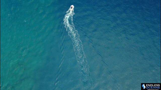 GBF- Great Barrier Reef - Endless Oceans, Queensland, Australia смотреть онлайн