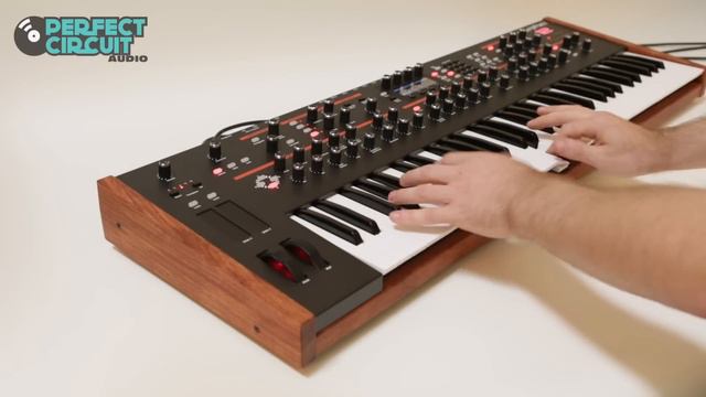 Dave Smith Instruments Prophet 12 Demo смотреть онлайн