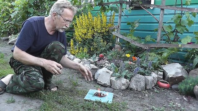 Единственное средство от комаров. Мгновенно добыть огонь. Александр Забытый. смотреть онлайн