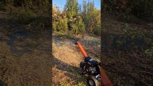 Бюджетный садовый бензиновый измельчитель веток GBK-70 обзор. РУБИТЕХ