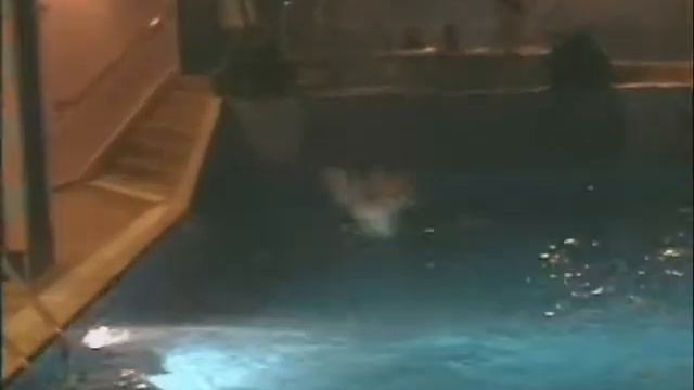 Ансамбль "Калейдоскоп" в Омане (февраль-март 2003г.) смотреть онлайн