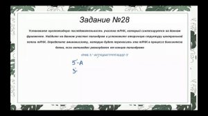 Разбор задания на палиндром (ЕГЭ по биологии)