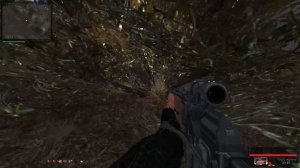 STALKER 1.0006. Путь Человека «Возвращение»  Грибы Волку