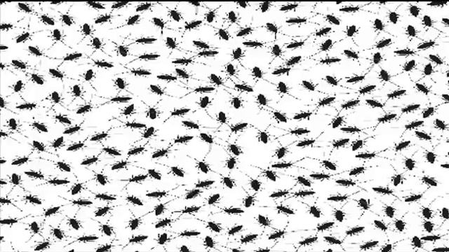YusYus - Symbols Of Death смотреть онлайн