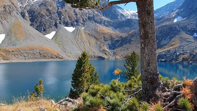 Баба Нам Кевалам-Ваba Nam Kevalam.❤Всё есть Любовь. Универсальная мантра.? смотреть онлайн