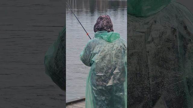 Поимки форели смотреть онлайн