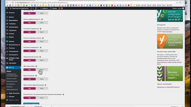 SEO оптимизация сайта смотреть онлайн