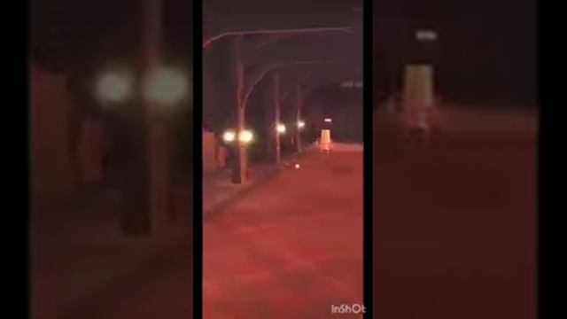 Чудо-чай и Квин проходят библиотеку 1 час смотреть онлайн