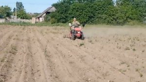 Минитрактор мтз 112н-01. Уход за картофелем. Боронование. #мтз #минитрактор #техника