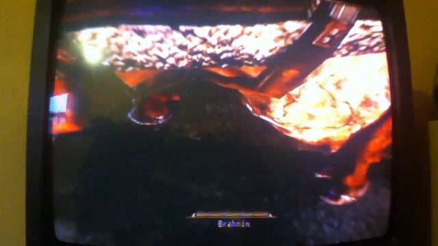 Brahmin can fly in fallout смотреть онлайн
