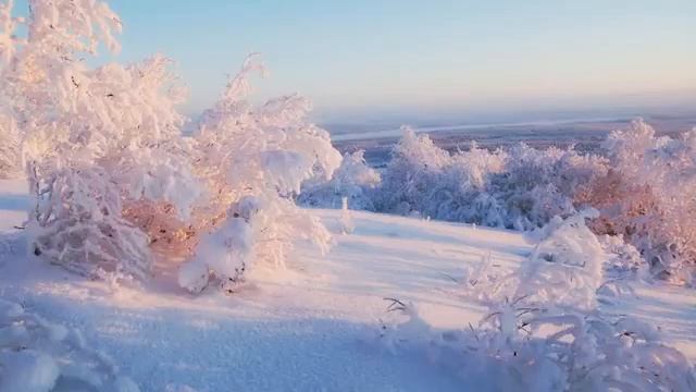 Потолок ледяной | ? Детская новогодняя песня | Зима | смотреть онлайн