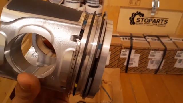 8097808  500055469 Поршень Case  New Holland  Iveco  8097808  500055469 Piston rings and pin
