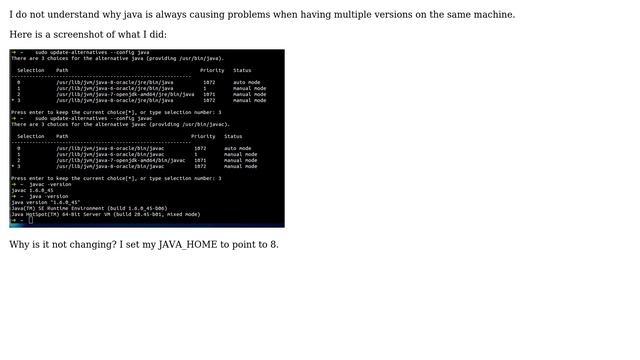 Ubuntu: Java Version not changing смотреть онлайн