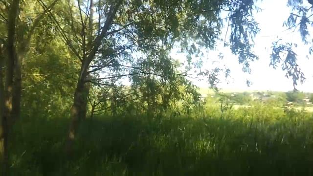 Булимия. Приветствие...)))) смотреть онлайн