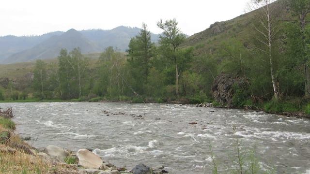 Урсул, Алтай. смотреть онлайн