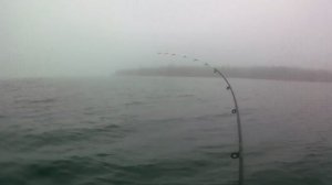 Кумжа на о. Имандре