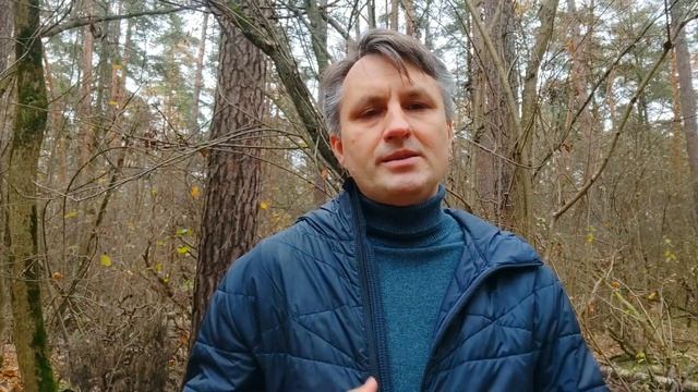 Почему духовные искатели ведут себя неадекватно смотреть онлайн