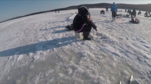 Зимняя рыбалка на Сахалине. 14 апреля 2018 года. Селедка