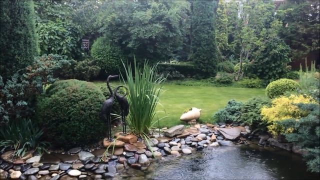 Садовый центр виола Ландшафтный дизайн Ростов на Дону смотреть онлайн