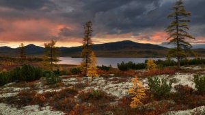 Магаданская область. Где стоит побывать и что стоит посмотреть туристу.