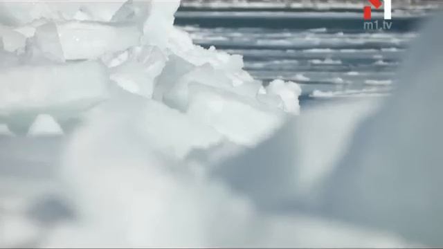 ТІК - Абонент [Oфіційне відео]