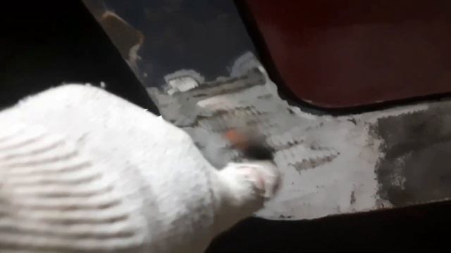 Дизайнерская Структура Домашнего Пространства