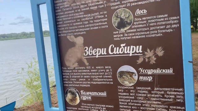 VLOG: выезд в Киреевск | ТГУ, ИПМКН , дни без интернета, Томск