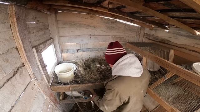 ДОМ КОТОРЫЙ ОКОЛО ЛЕСА, В ДЕРЕВНЕ ПРОСТООЛЕЖКИНО, В УРАЛЬСКОЙ ГЛУБИНКЕ смотреть онлайн