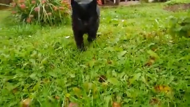 Суп в Афганском казане!