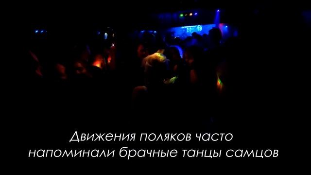 Где отдохнуть в ЗАКОПАНЕ. Польша 2020, цены, подъемники, Каспровый верх, дискотека смотреть онлайн