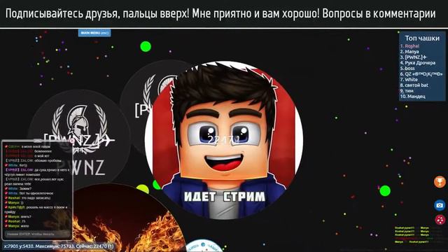 PETRIDISH ► ROSHAL VS BIG/KY смотреть онлайн