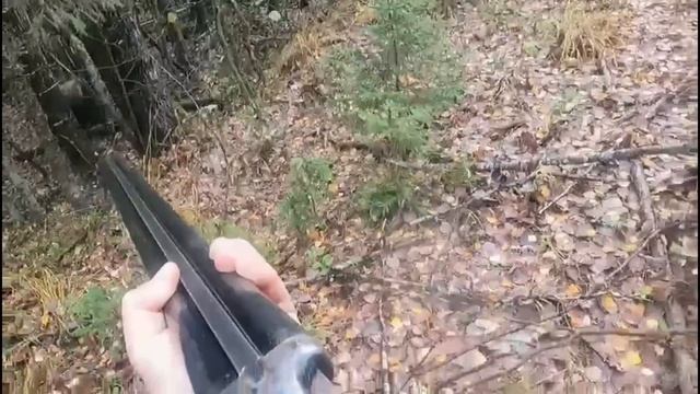 ? Встреча с МЕДВЕДЕМ в лесу... ( bear attacks russian man ) смотреть онлайн